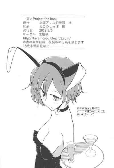 BDSM Series —  Bound and Fucked in a Cage, Helpless Slut Takes Rough Punishment [Reitaisai 15 Karamoyou Daitou Touhou Project]
