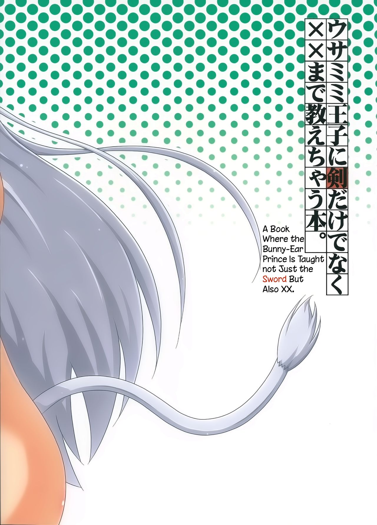 Bunny-Ear Prince Series — A Book Where the Bunny-Ear Prince Is Taught Not Just the Sword But Also How to Fuck [Nanoha DAYS 4] [Serenta (BOM)]