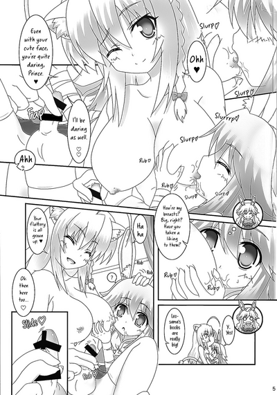 Bunny-Ear Prince Series — A Book Where the Bunny-Ear Prince Is Taught Not Just the Sword But Also How to Fuck [Nanoha DAYS 4] [Serenta (BOM)]