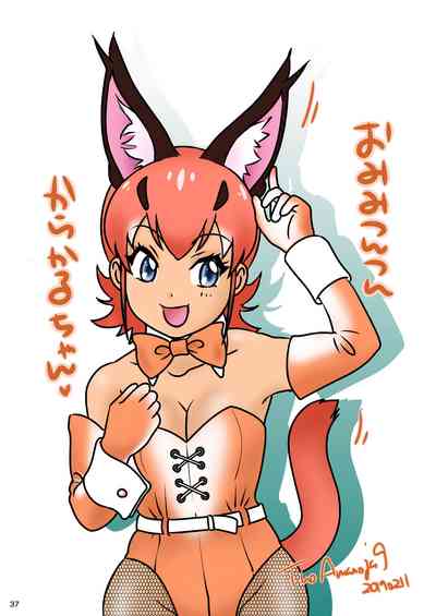 Chocolate Series — BEHAVIOUR+13 Chocolate Taste Hardcore Fetish Video [A-mania9’s (Amanoja9)]