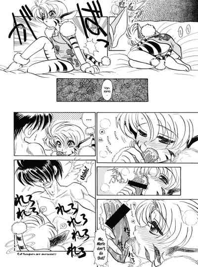 Collection Series — Team Plus-Y 18: English Compilation of Raw Fucking and Creampies