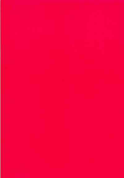 Cosplay Series — Give Me Five Stars  I’ll Suck Your Cock  [ectoborn (SHUKO) Fate/Grand Order English Kizlan]