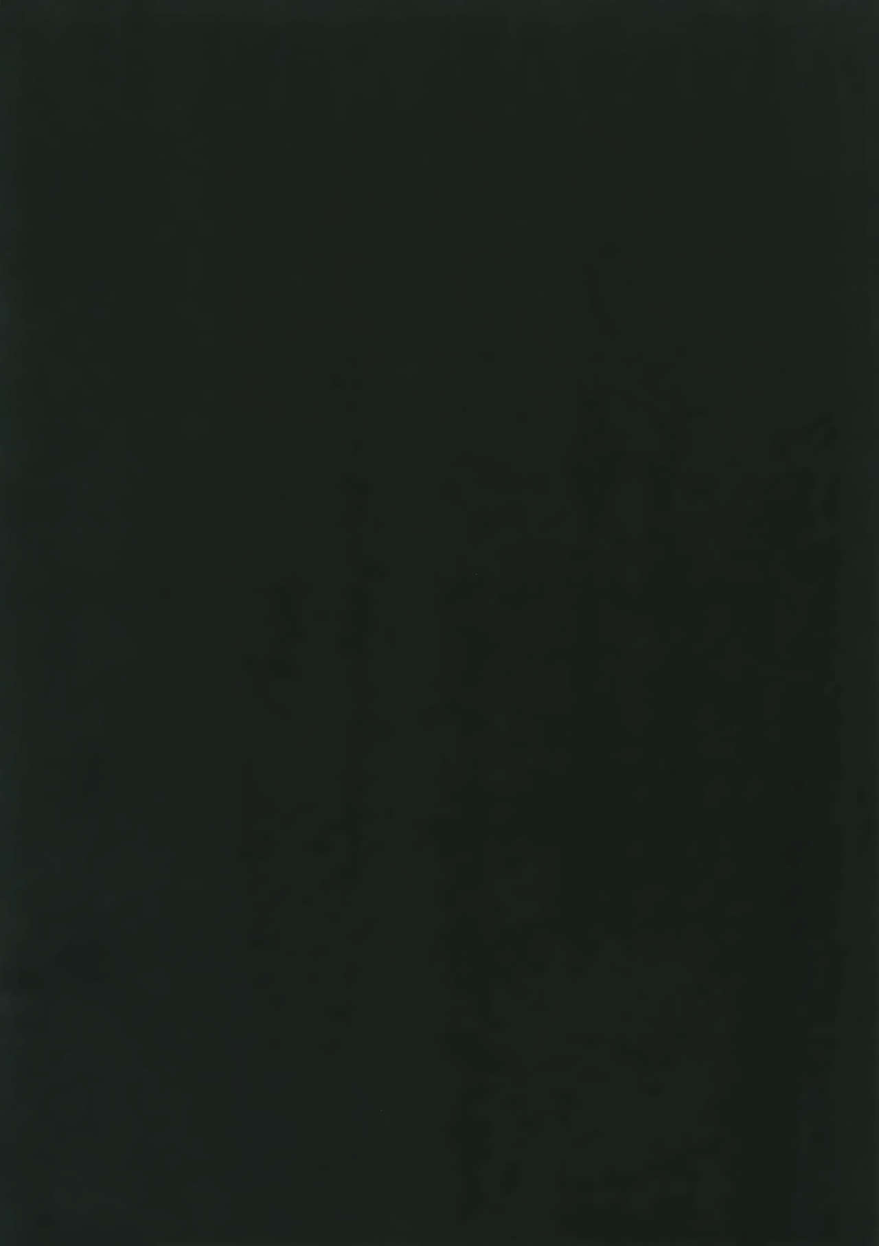 Detective Series — Love Forgiven 2 Something White Meitantei Conan English