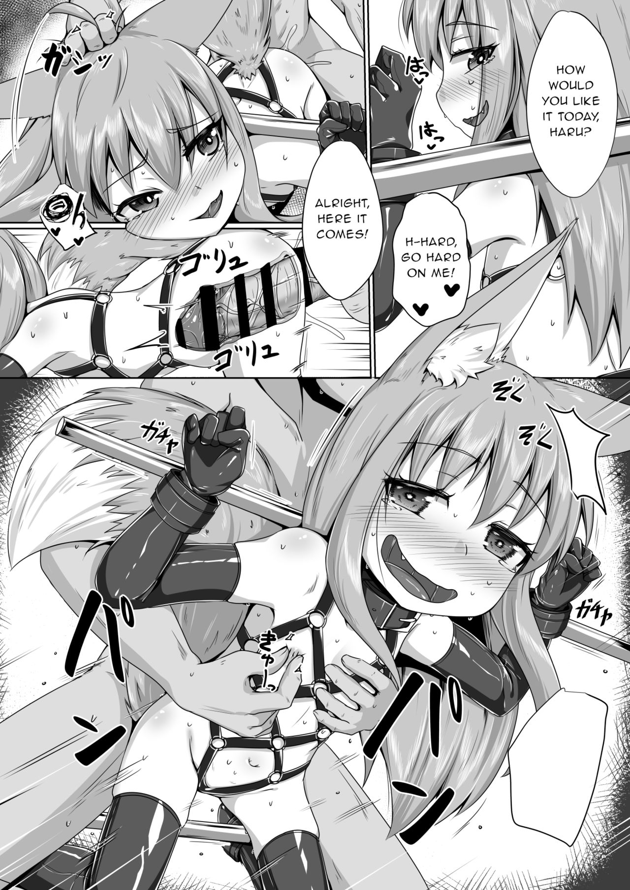 Explicit Series — FOX MANIAX4 [Toriaezu. (Kitsunekov)]