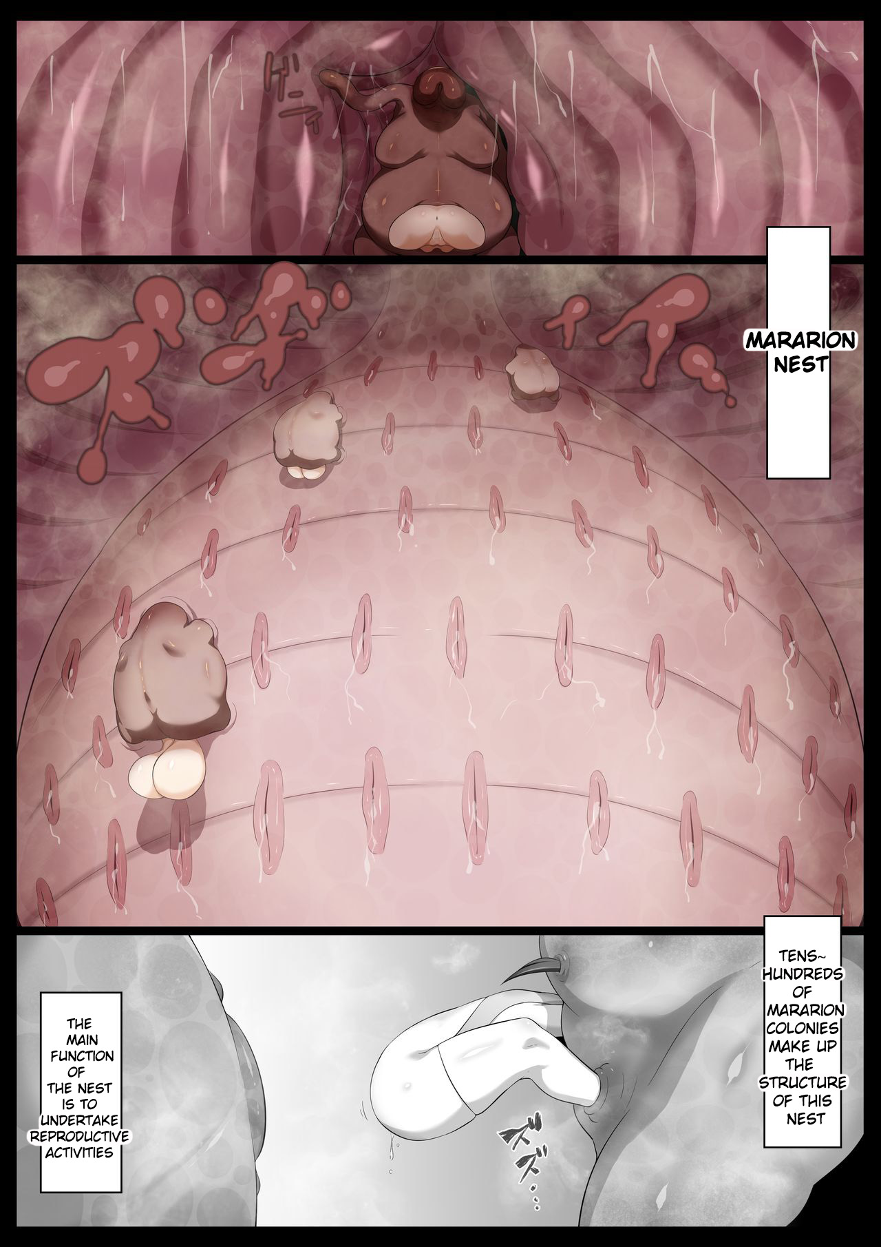 Explicit Series — Mararion [Semakute Kurai (Kyouan)]