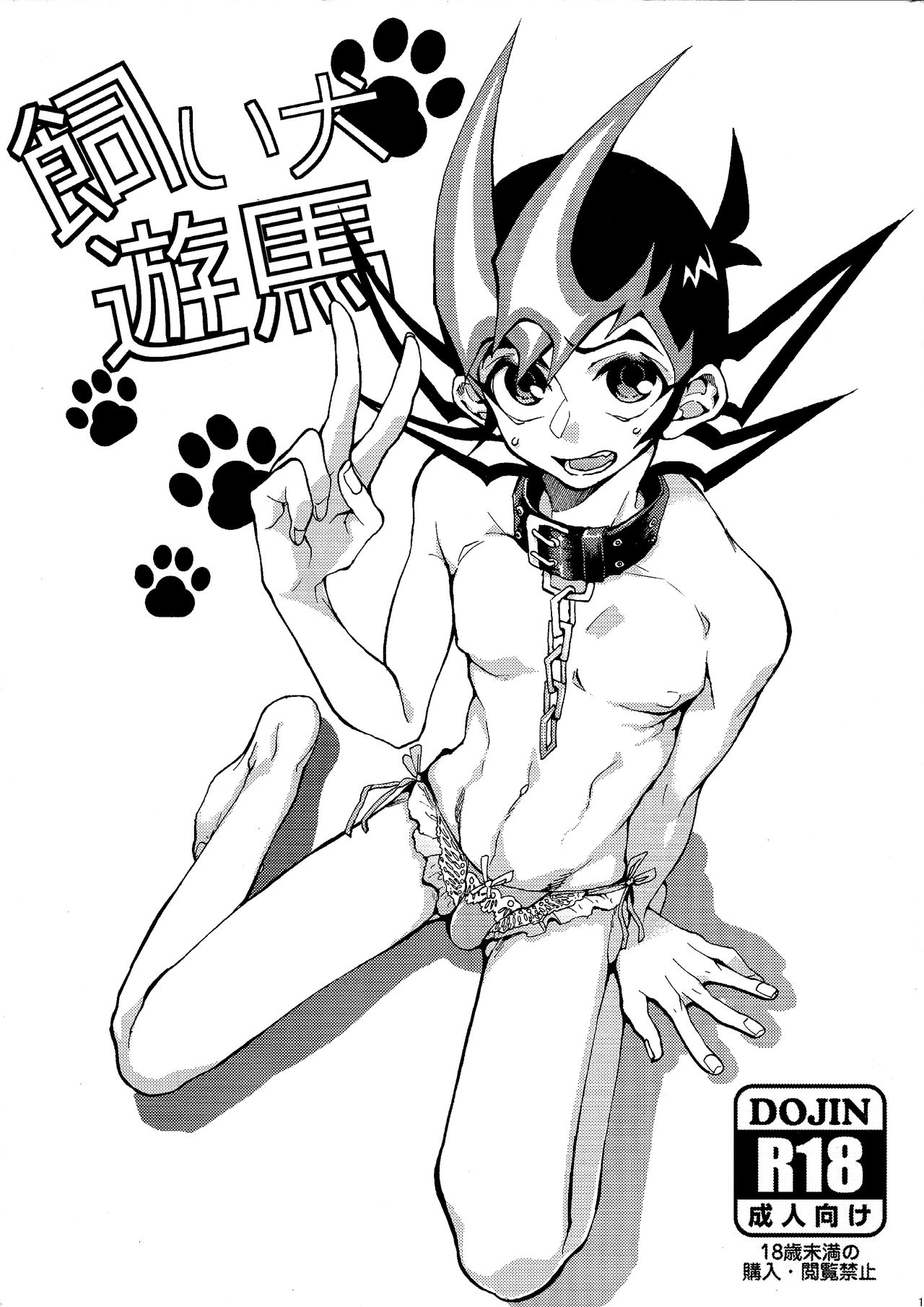 Explicit Series — Yuma Gets Fucked Hard by a Dog Cock