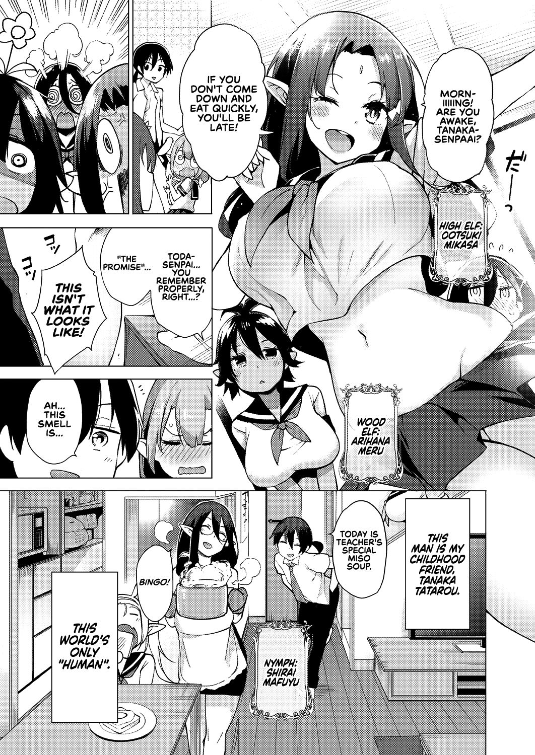 Fantasy Harem Series — Fairy Harem Explosion Ch. 1  [Kenji]