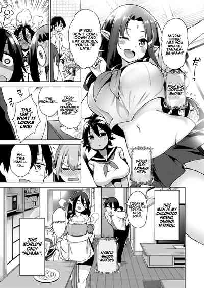 Fantasy Harem Series — Fairy Harem Explosion Ch. 1  [Kenji]