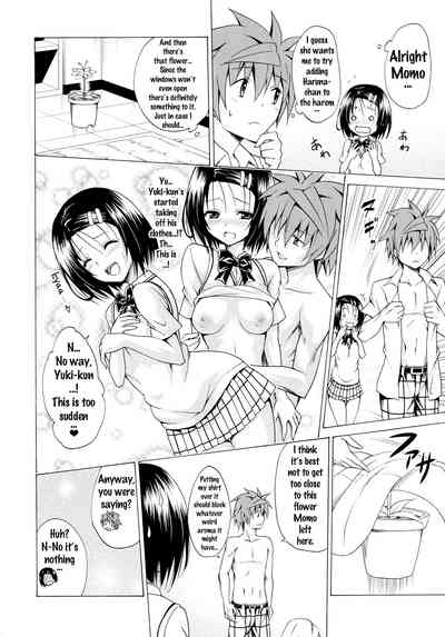 Harem Series — Aim for Paradise Plan Vol. 2 [C91 TORA MACHINE Kasukabe Taro To LOVE-Ru English Doujins.com]