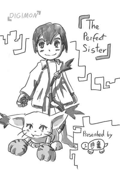 Incest Series — The perfect Sister [Shiroi Kame]