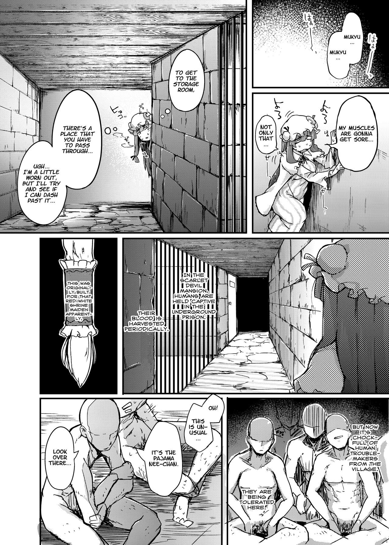 Library Series — The Hole and the Closet: Perverted Unmoving Great Library [Jikahatsudensho (flanvia)]