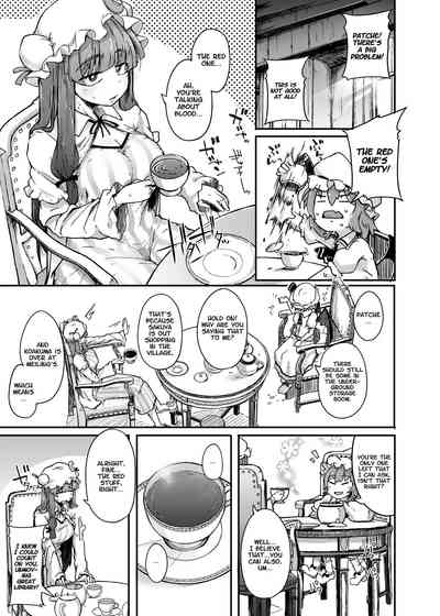 Library Series — The Hole and the Closet: Perverted Unmoving Great Library [Jikahatsudensho (flanvia)]