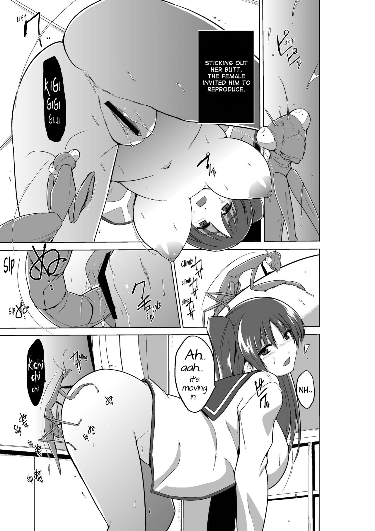 Massage Series —  Tamaki’s Worm Play  [Tiba-Santi (Misuke)]