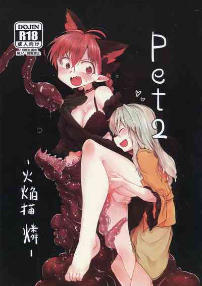 Pet Series — Kaenbyou Rin  Hardcore Fucking  [Reitaisai 10 RTD Mizuga pet 2]