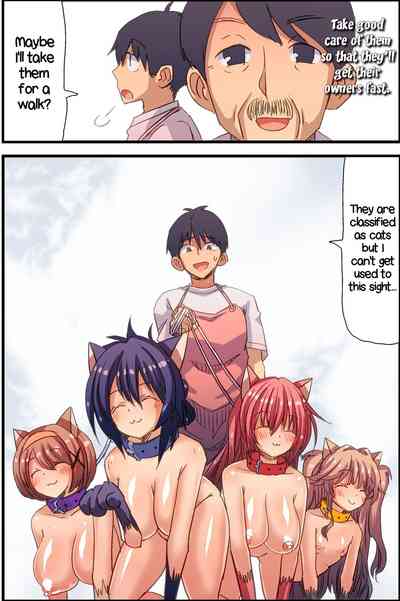 Petplay Series — New Female Cats in Stock Today [DL Mate (Vanilla CREAM)]