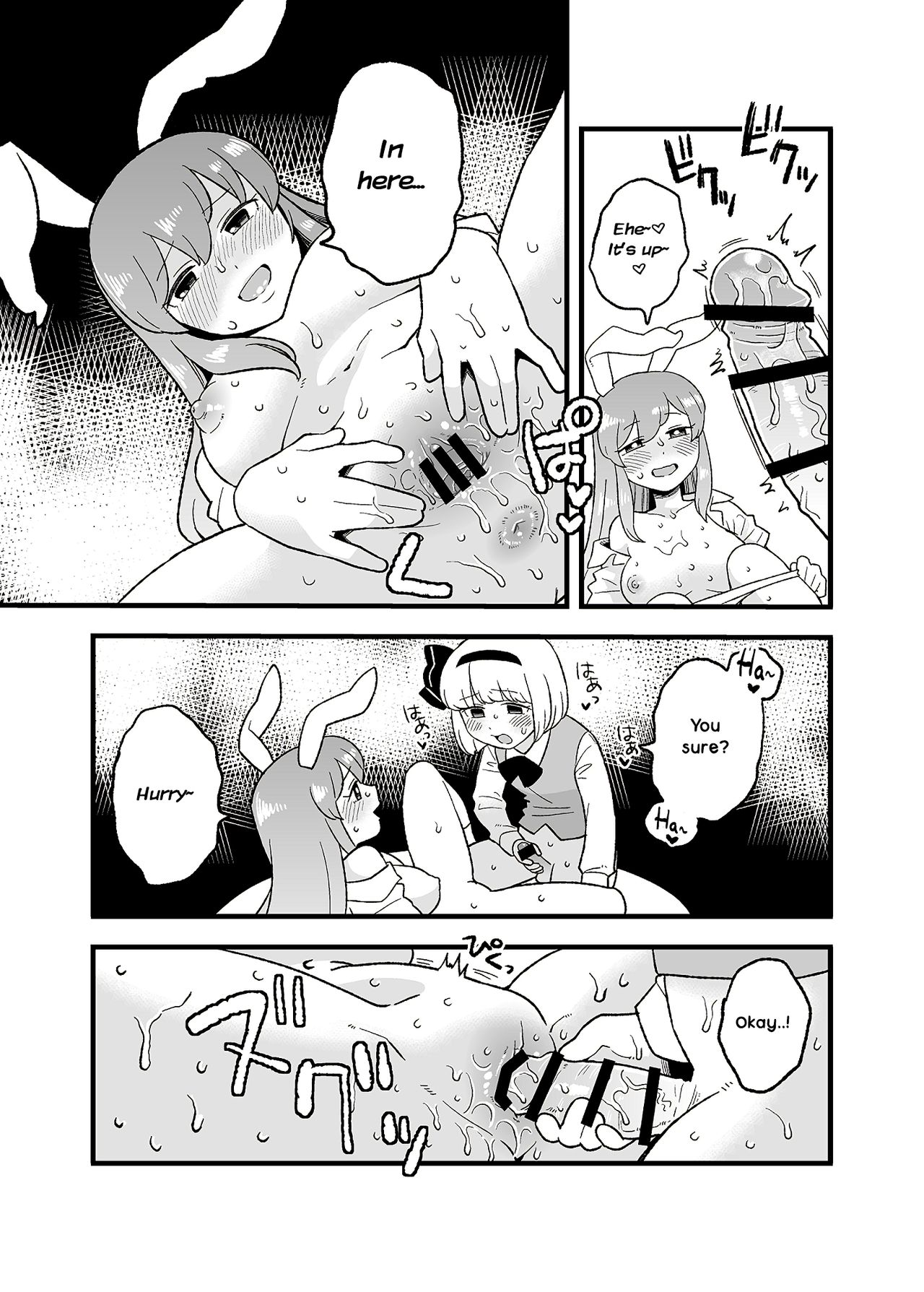 Public Series — Complete Collection of Usagi no Are [Koyama] [The Lechery]
