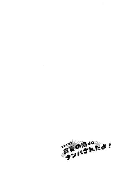 Public Series — Heart-Pounding Pickup at the Midsummer Beach [C96] [Arekusa Thunder] [BSN]