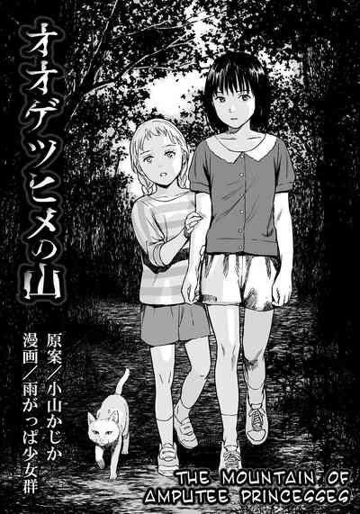 Ryona Series — Amputee Princesses Brutal Gangbang Fetish  [Amagappa Shoujogun]