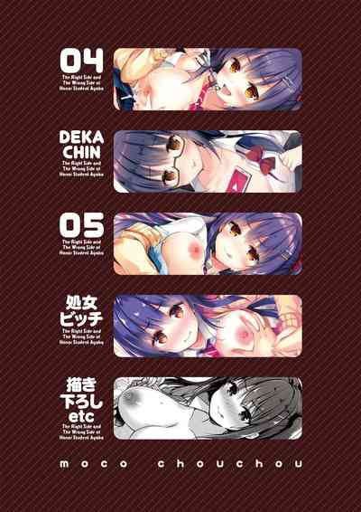 Schoolgirl Series — Model Student Ayaka’s Secret Double Life Collection 02 [moco chouchou (Hisama Kumako)]