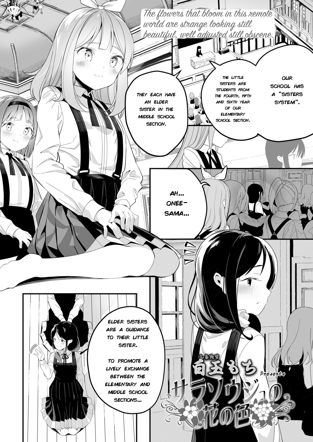 Teen Series — The color of Sarasouju’s flower  [Shiratama Moti]