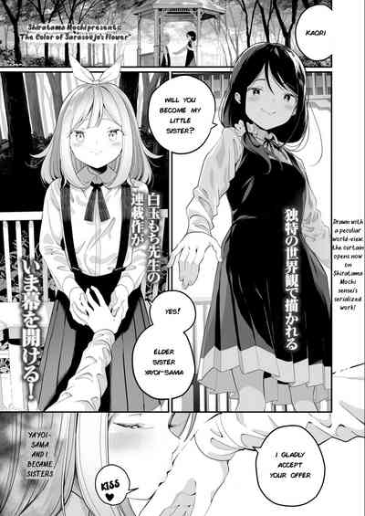 Teen Series — The color of Sarasouju’s flower  [Shiratama Moti]