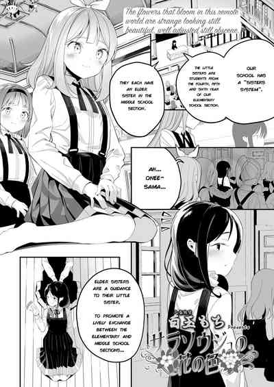 Teen Series — The color of Sarasouju’s flower  [Shiratama Moti]