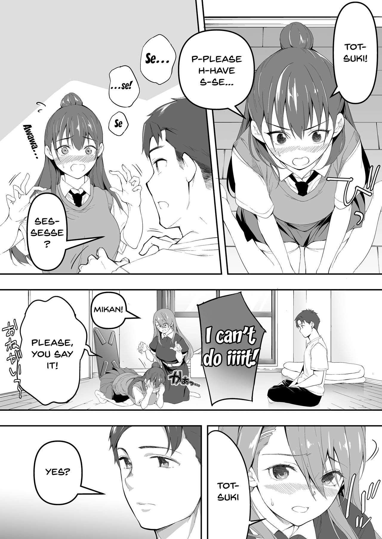 Twins Series — The Only One Who Can Touch These Identical Sisters [STUDIO HUAN (Raidon)]