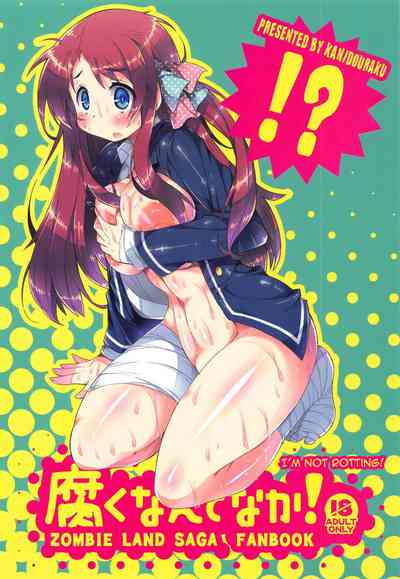 Zombie Series — Rotten Flesh Fuck Fest! [C95 Kanidouraku Kanibasami Zombie Land Saga English Doujins.com]